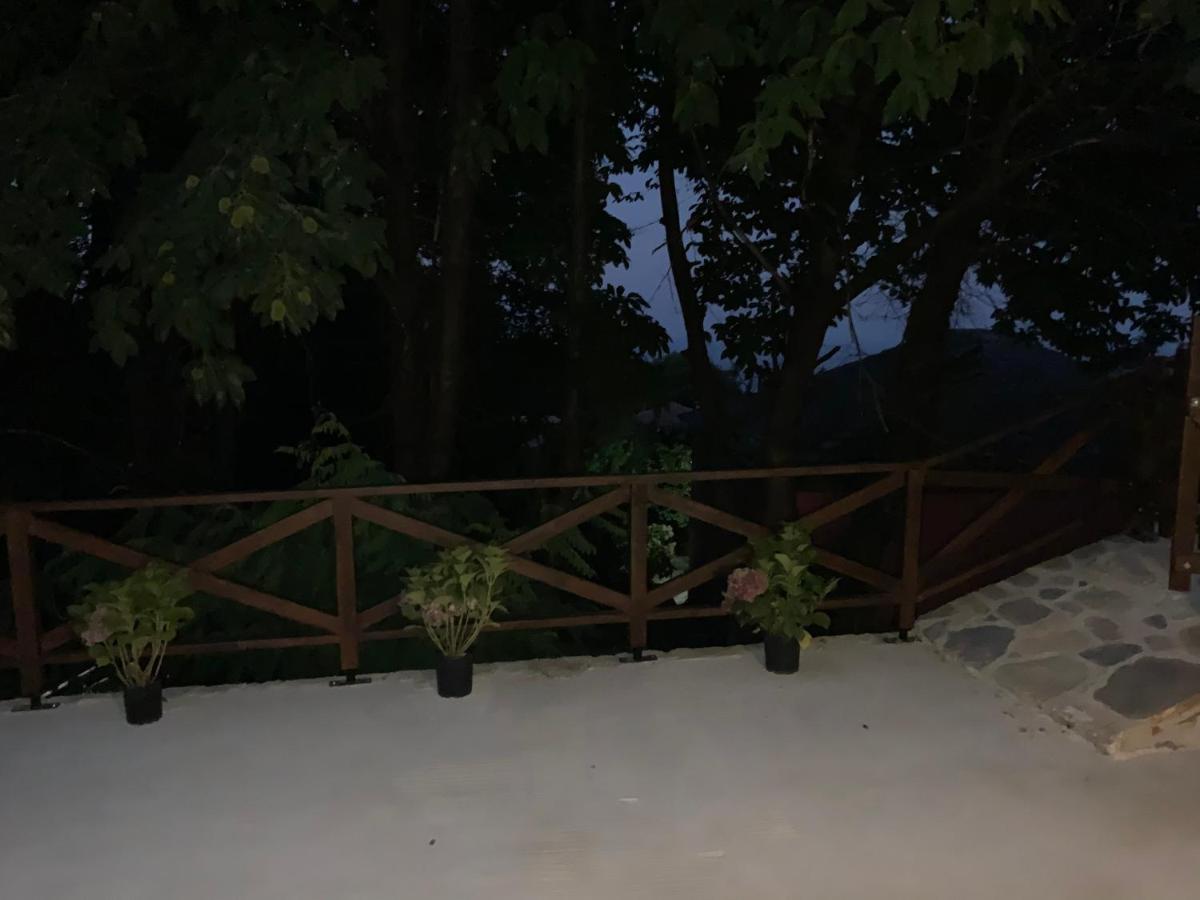Villa Pelion 7 Lives Tsagkarada Exterior foto